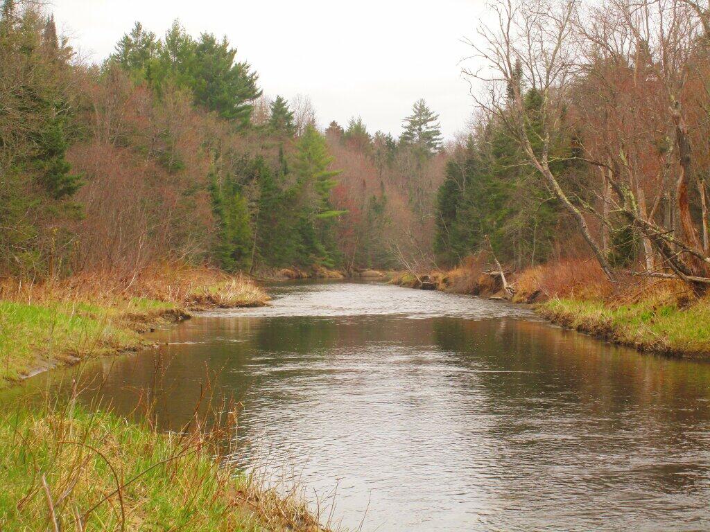 Photo: East Branch Photo: East Branch