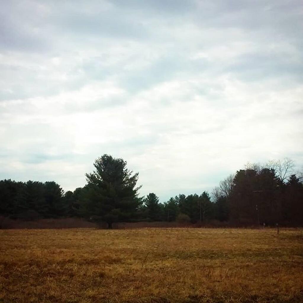 Photo: No rain but hardly a nice day Photo: No rain but hardly a nice day