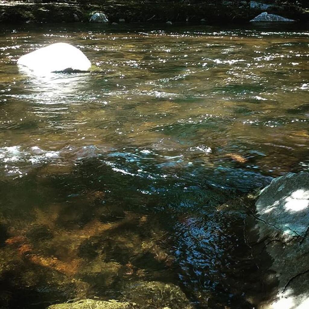 Photo: Flow river, flow Photo: Flow river, flow