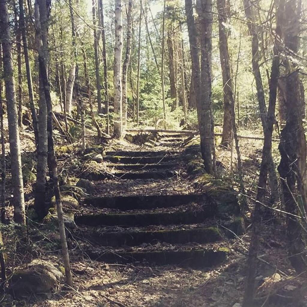 Photo: Old Stair Case at Fox Lair Photo: Old Stair Case at Fox Lair