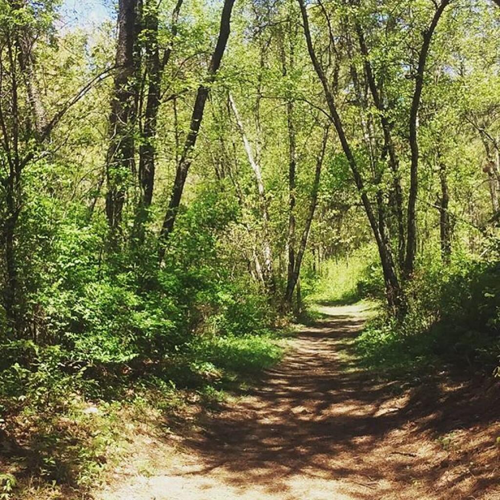 Photo: Nice day for a walk Photo: Nice day for a walk