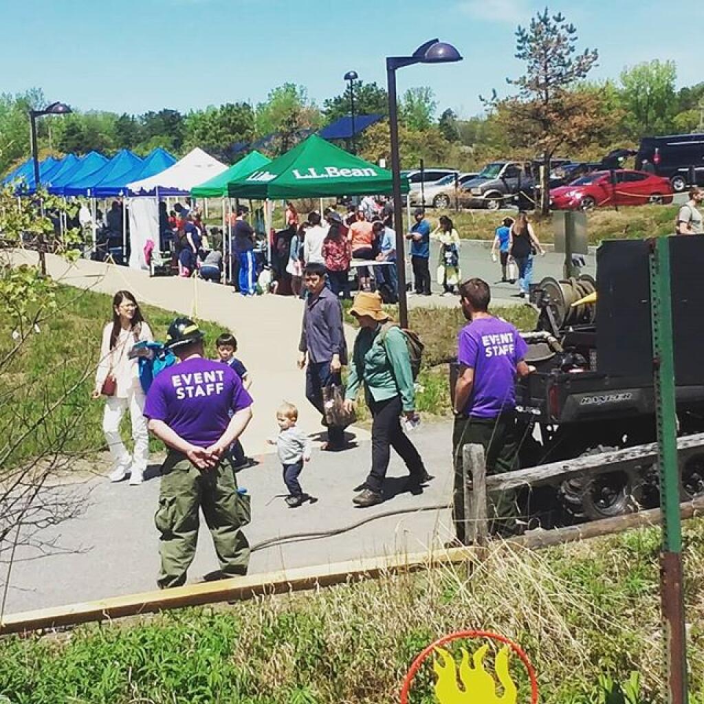Photo: Lupine Festival Photo: Lupine Festival