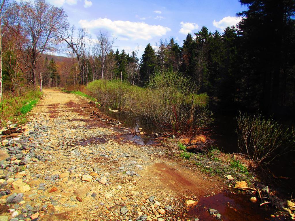 Photo: Robb Creek Road was damaged by beaver dam Photo: Robb Creek Road was damaged by beaver dam