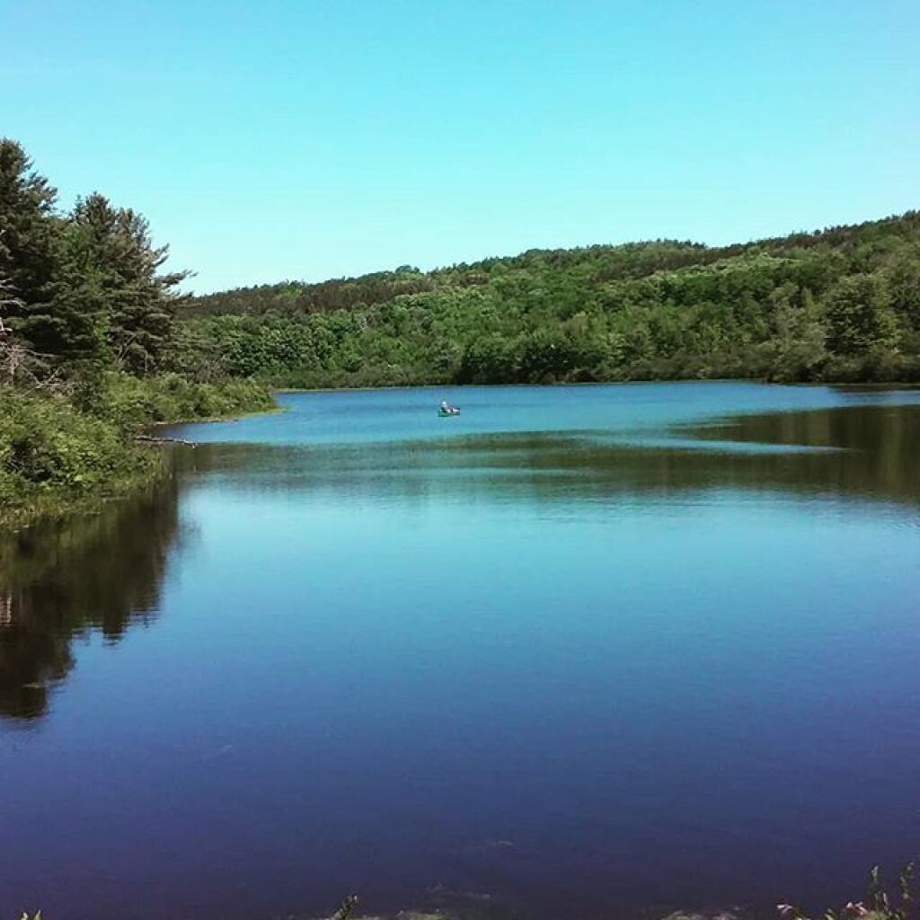 Photo: Tubbs Pond Photo: Tubbs Pond