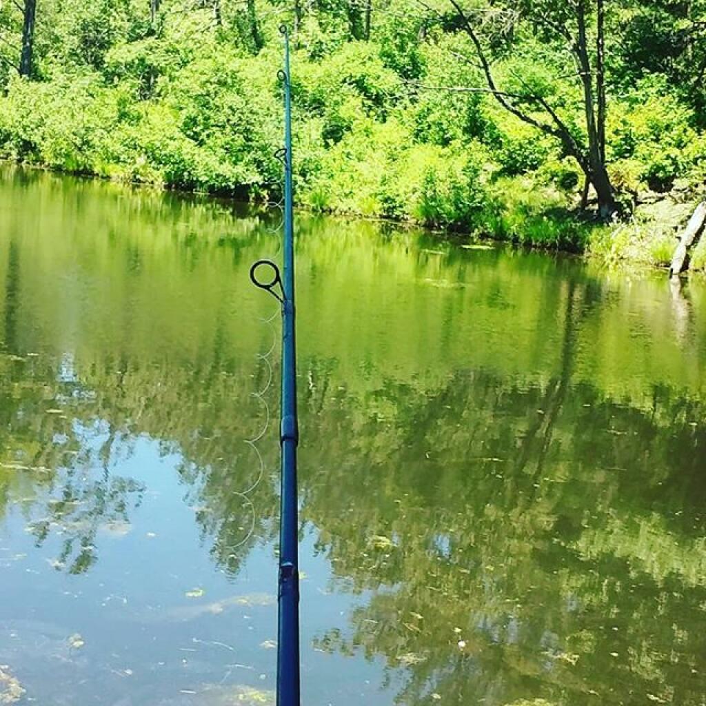 Photo: A little fishing in White Bird Pond Photo: A little fishing in White Bird Pond