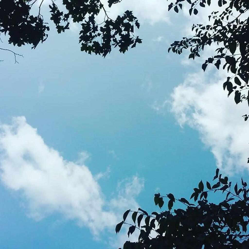 Photo: Watching the world float by Photo: Watching the world float by
