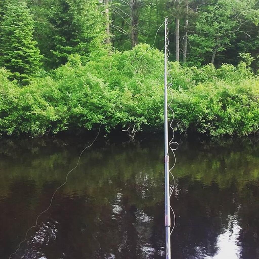 Photo: Shore fishing Jessup River Photo: Shore fishing Jessup River