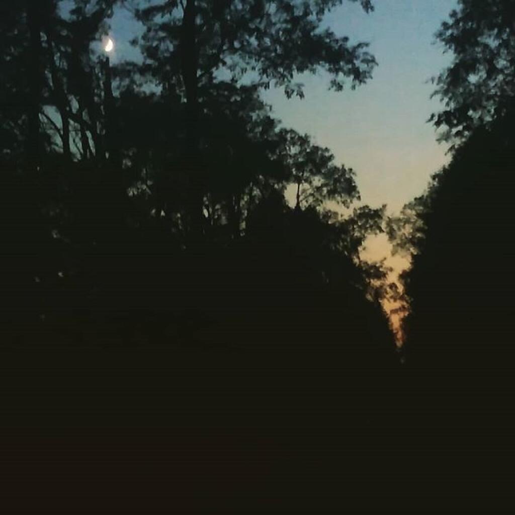 Photo: Dusk on Otter Brook Road Photo: Dusk on Otter Brook Road