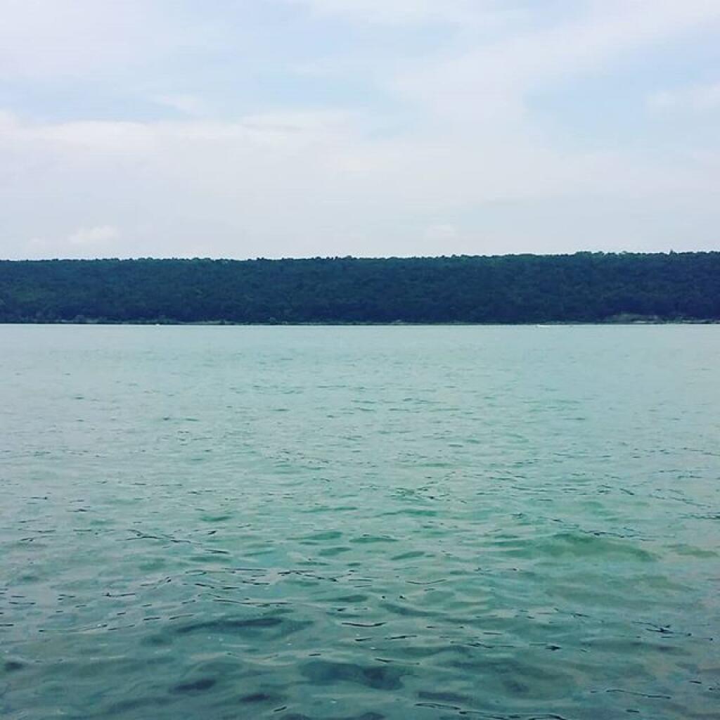 Photo: Beach on Cayuga Lake was closed due to Blue Green Algea Photo: Beach on Cayuga Lake was closed due to Blue Green Algea