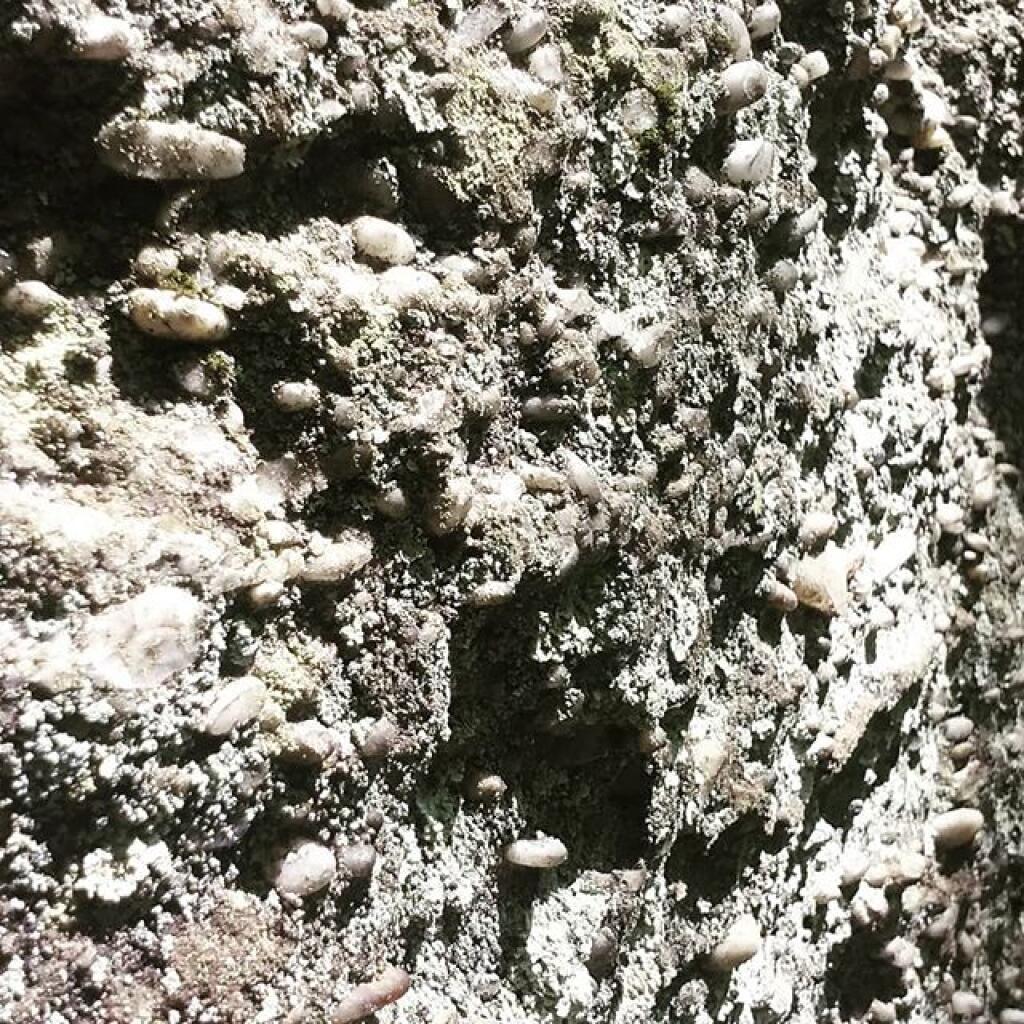 Photo: Marble pebbles and concrete Photo: Marble pebbles and concrete