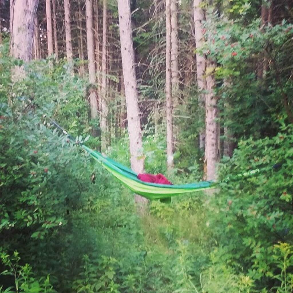 Photo: Hang out in the Klipnocky Woods Photo: Hang out in the Klipnocky Woods