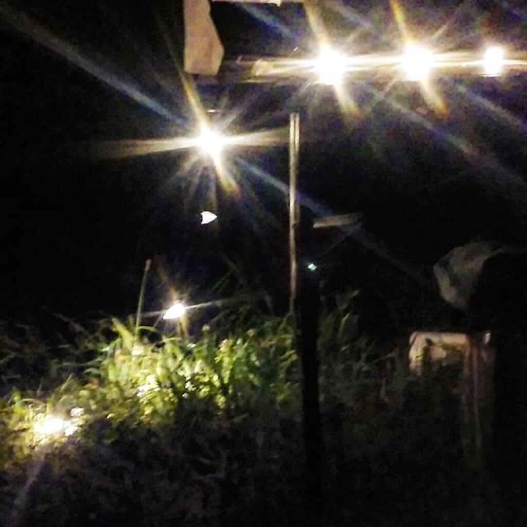 Photo: Lights Photo: Lights
