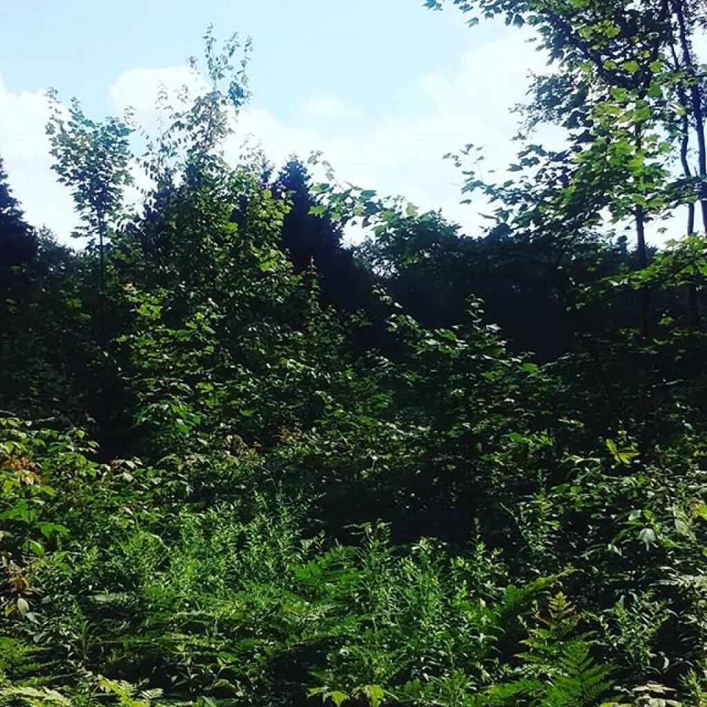Photo: Timberdoodle Flats is interesting, never stopped before Photo: Timberdoodle Flats is interesting, never stopped before