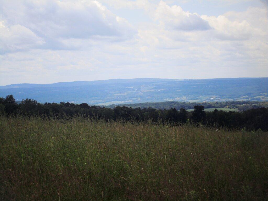 Photo: Pasture Photo: Pasture