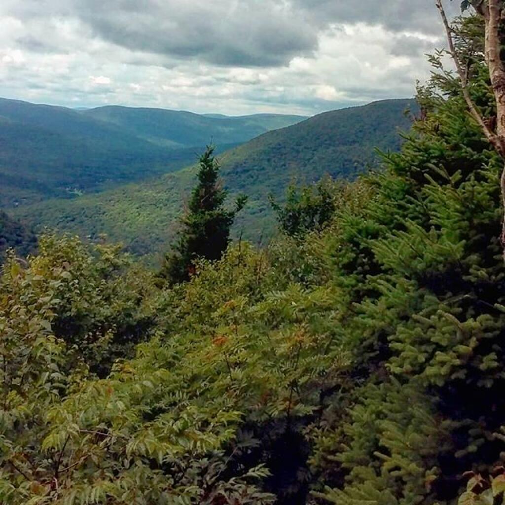 Photo: West Kill Valley Photo: West Kill Valley