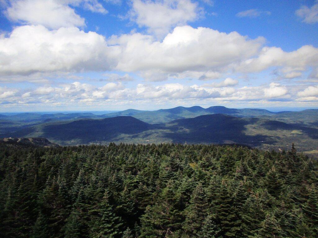 Photo: Rooster Comb Photo: Rooster Comb