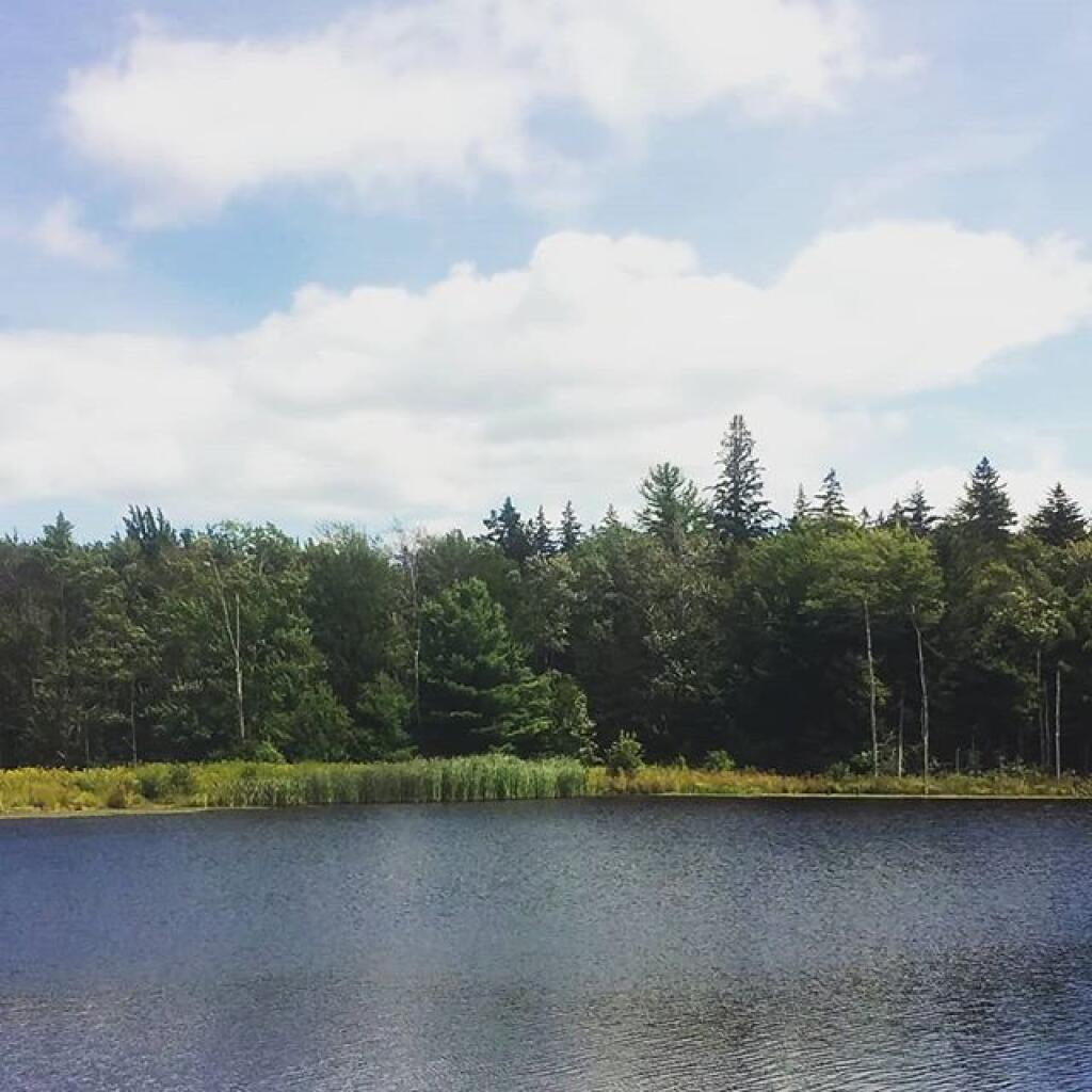 Photo: Looking Glass Pond Photo: Looking Glass Pond