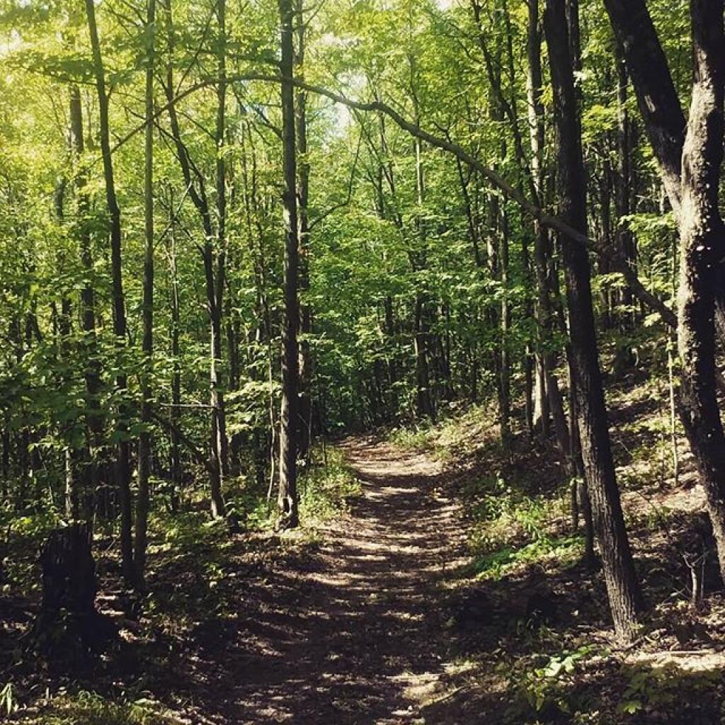 Photo: A nice day for a hike Photo: A nice day for a hike