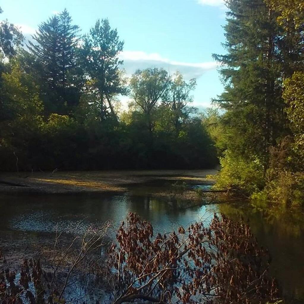 Photo: Pond Photo: Pond