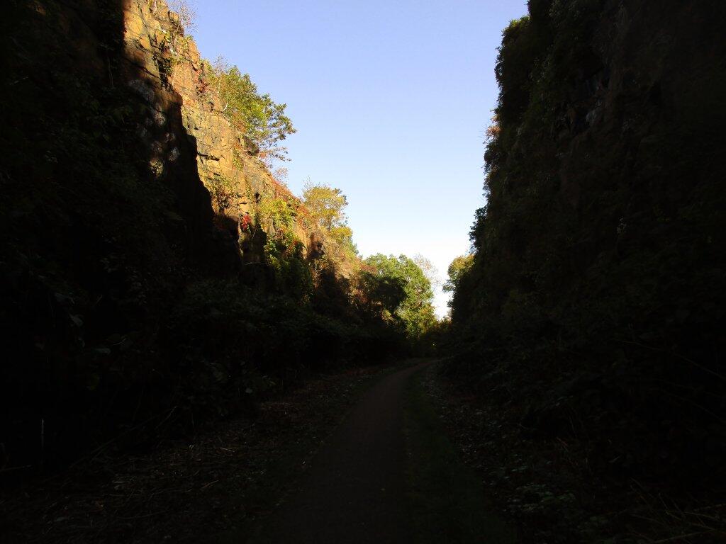 Photo: Deep In The Old Railroad Grade Photo: Deep In The Old Railroad Grade