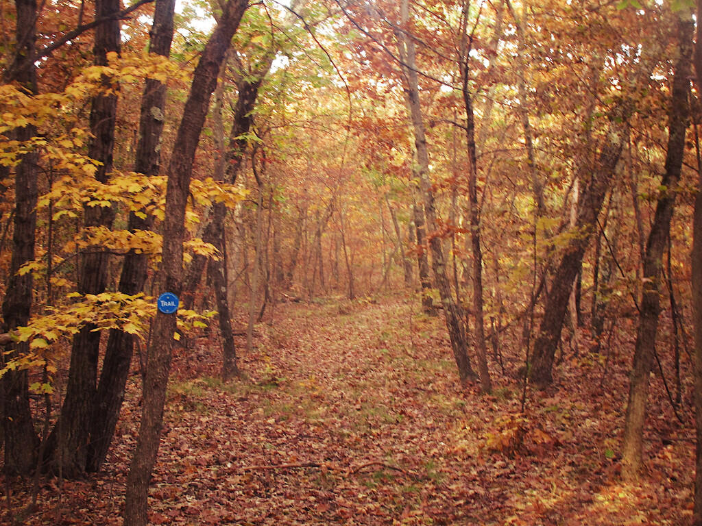 Photo: Unburned Sections Look Fairly Typical Photo: Unburned Sections Look Fairly Typical