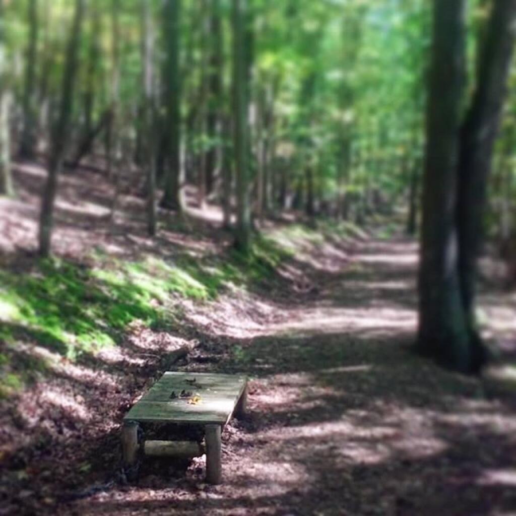 Photo: Perfect little benches along the trail Photo: Perfect little benches along the trail