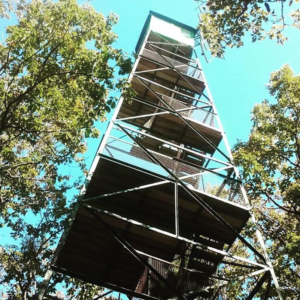 Photo: Fire tower