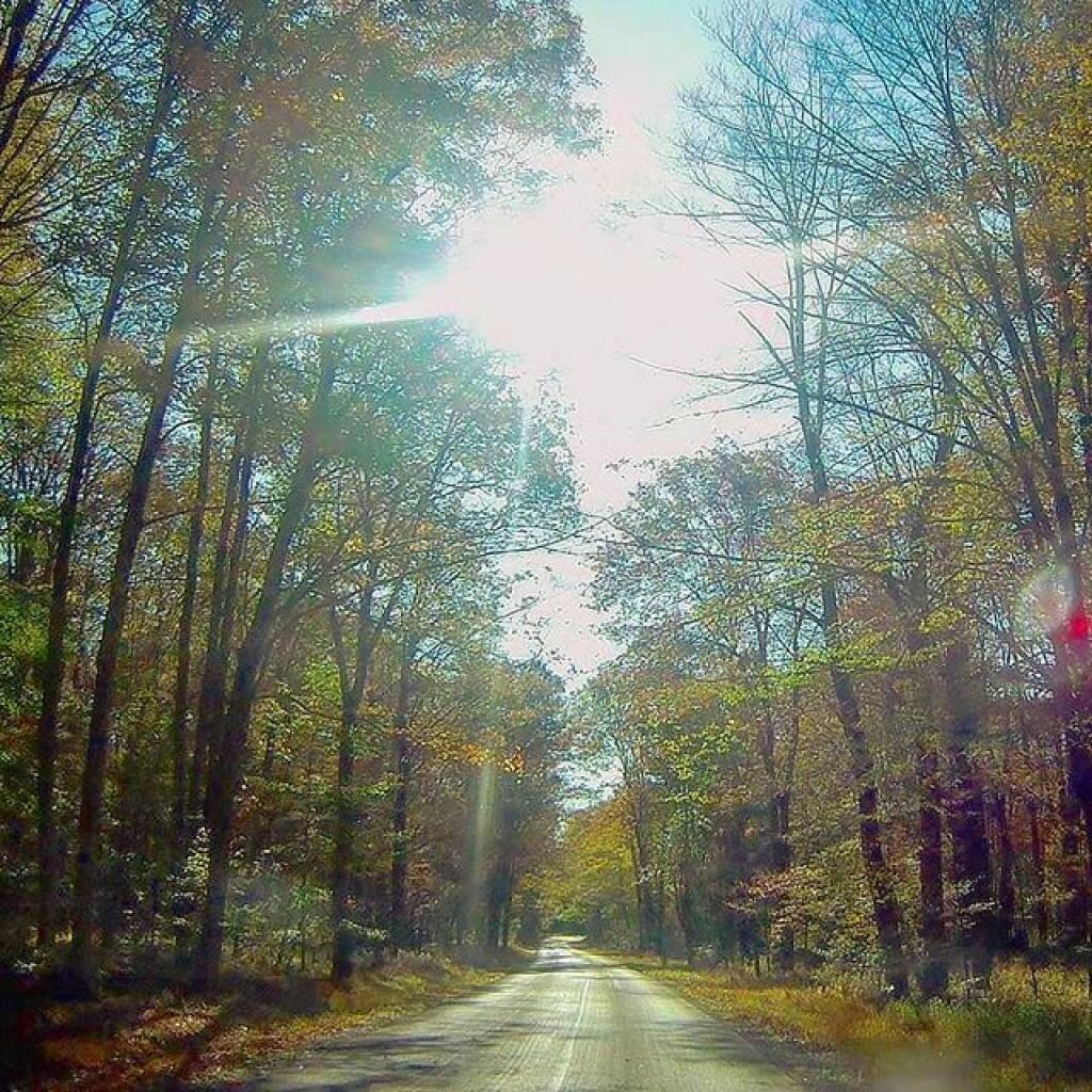 Photo: Along Loleta Road Photo: Along Loleta Road