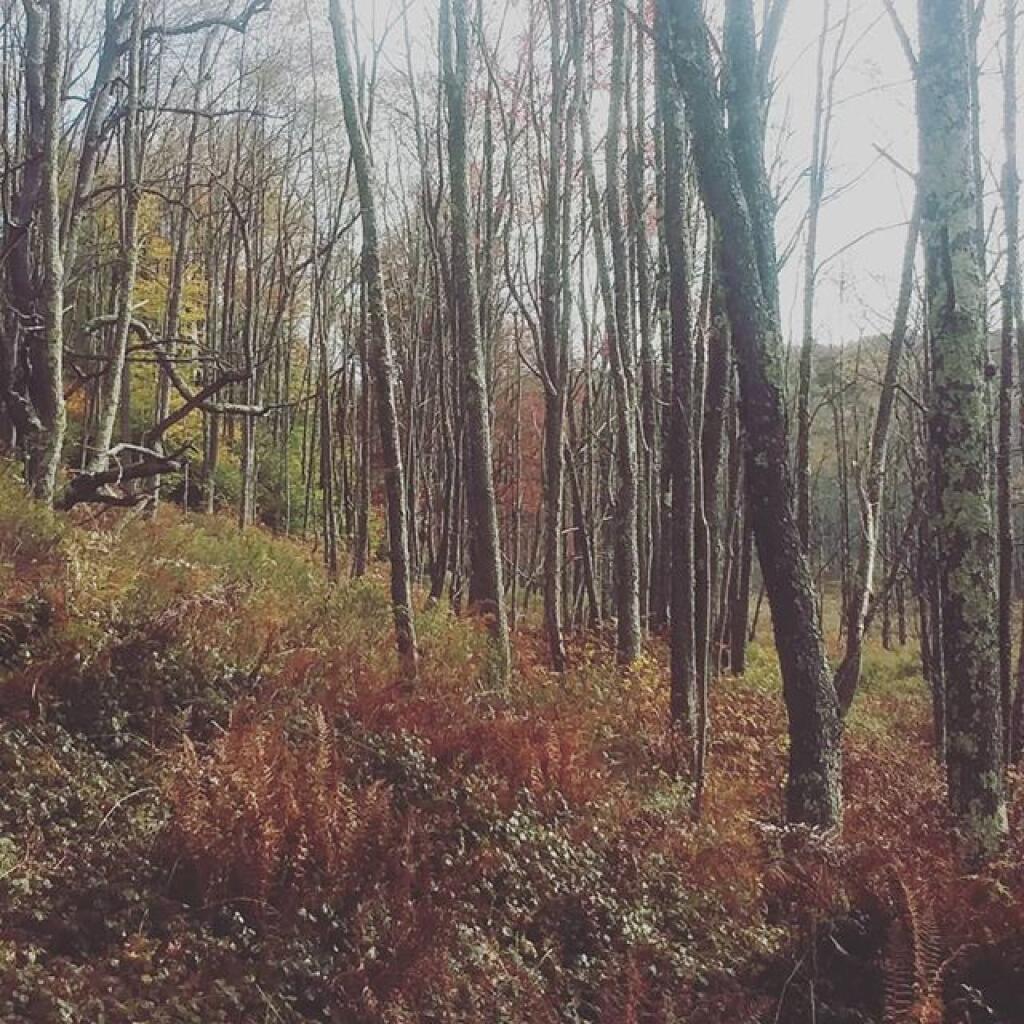 Photo: Marsh Trail Photo: Marsh Trail