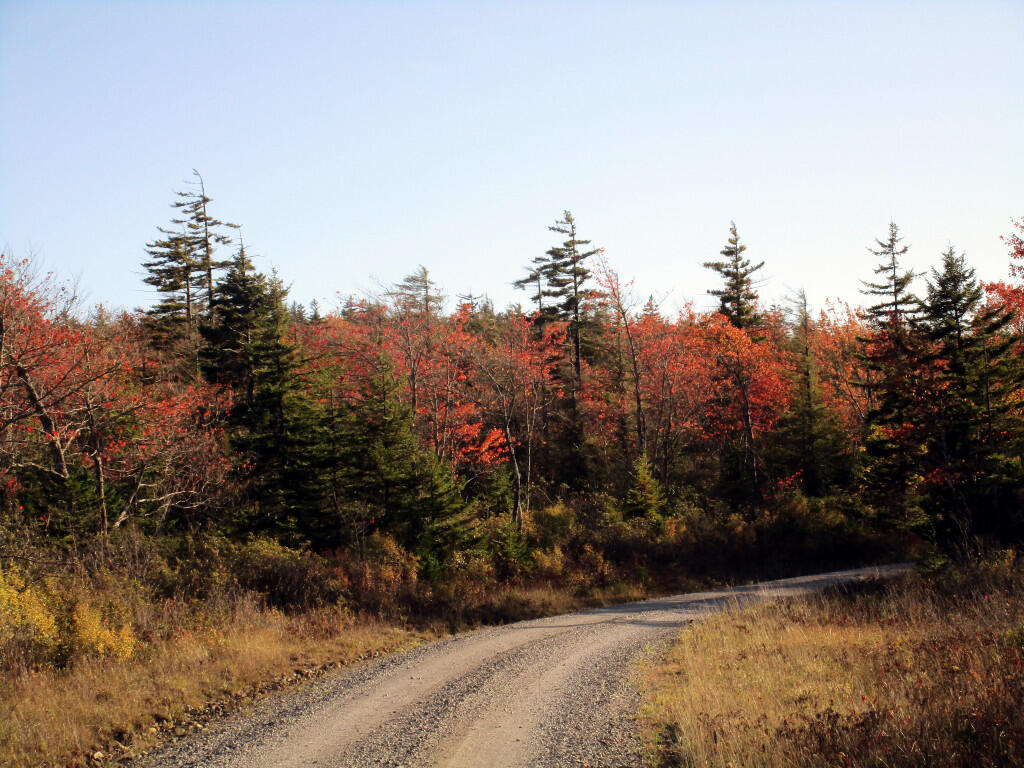 Photo: Gravel Road