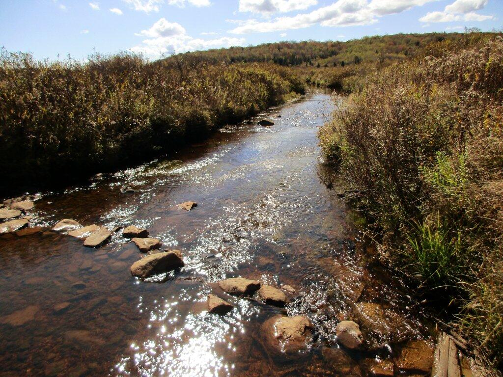 Photo: Red Creek Crossing Photo: Red Creek Crossing