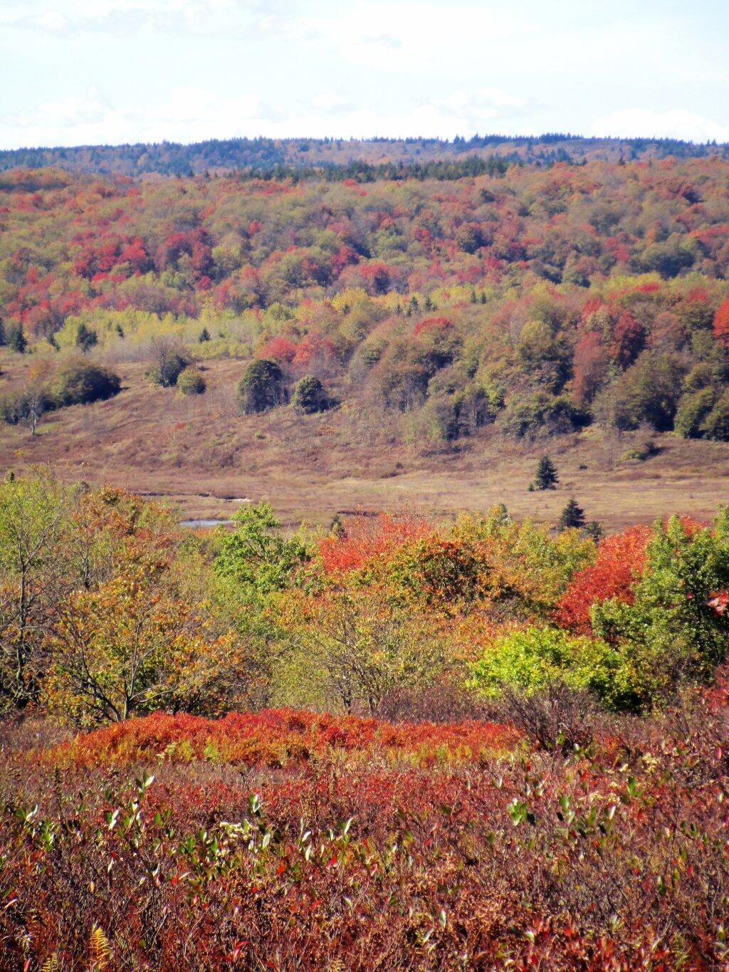 Photo: Red Creek Valley Photo: Red Creek Valley