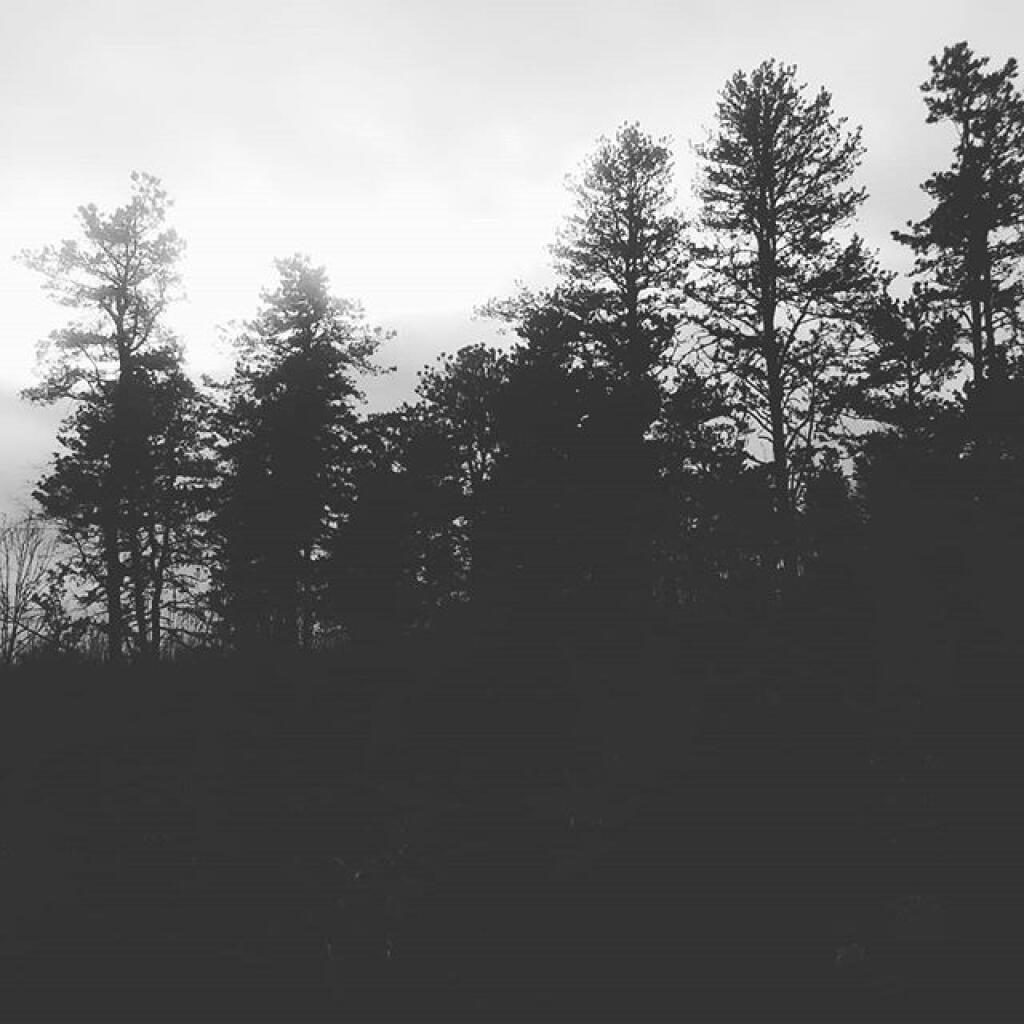 Photo: November can be gray Photo: November can be gray