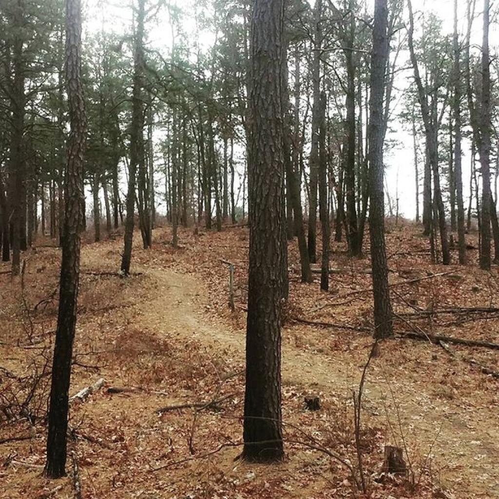 Photo: Trail Photo: Trail