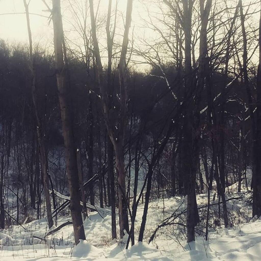 Photo: Winter Photo: Winter