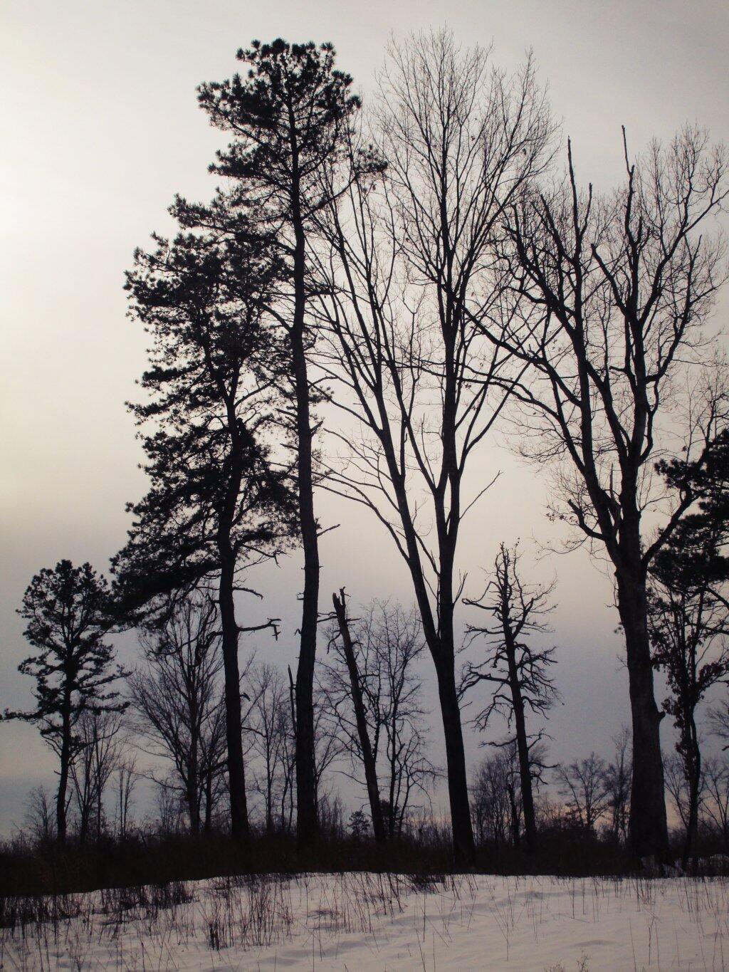 Photo: Towering Over Photo: Towering Over