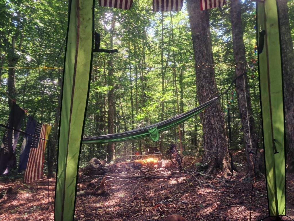 Photo: Hiding from the Bugs