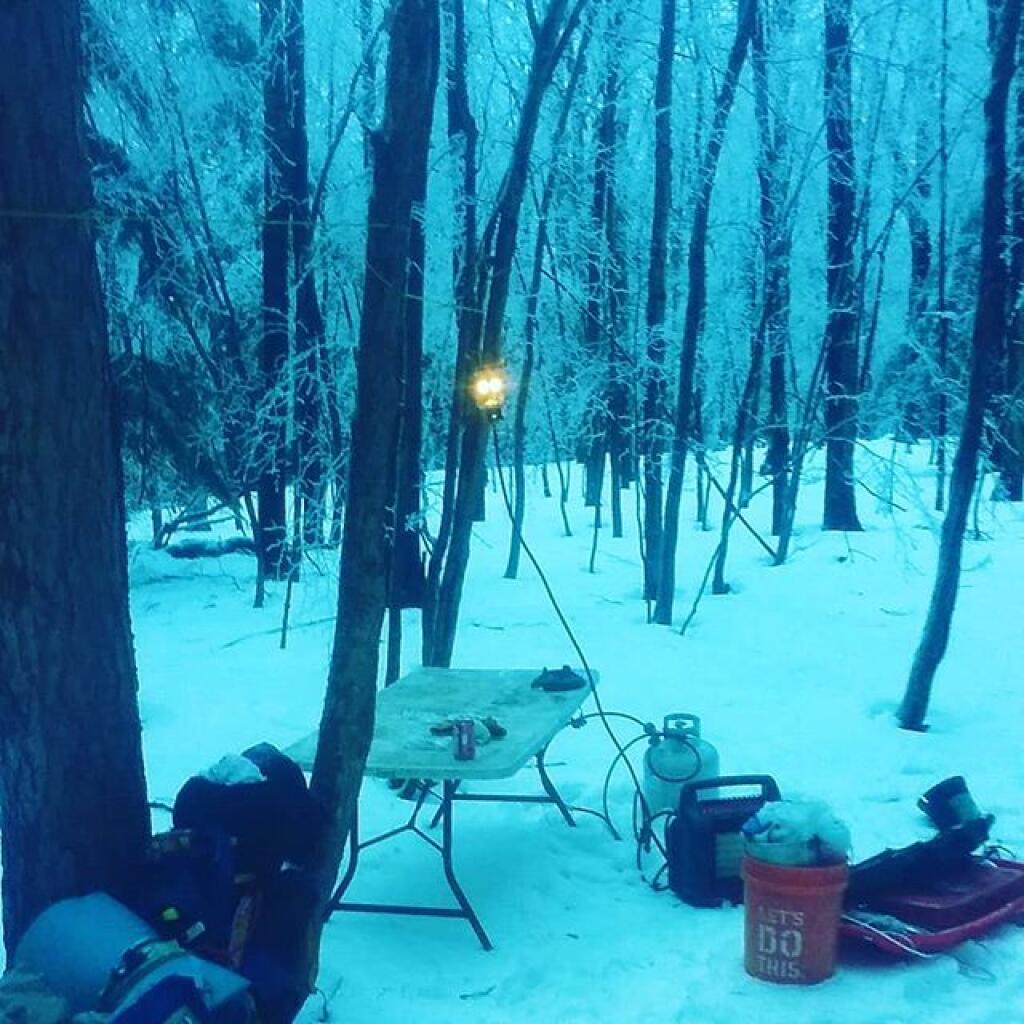 Photo: Pretty with all the ice on the trees Photo: Pretty with all the ice on the trees