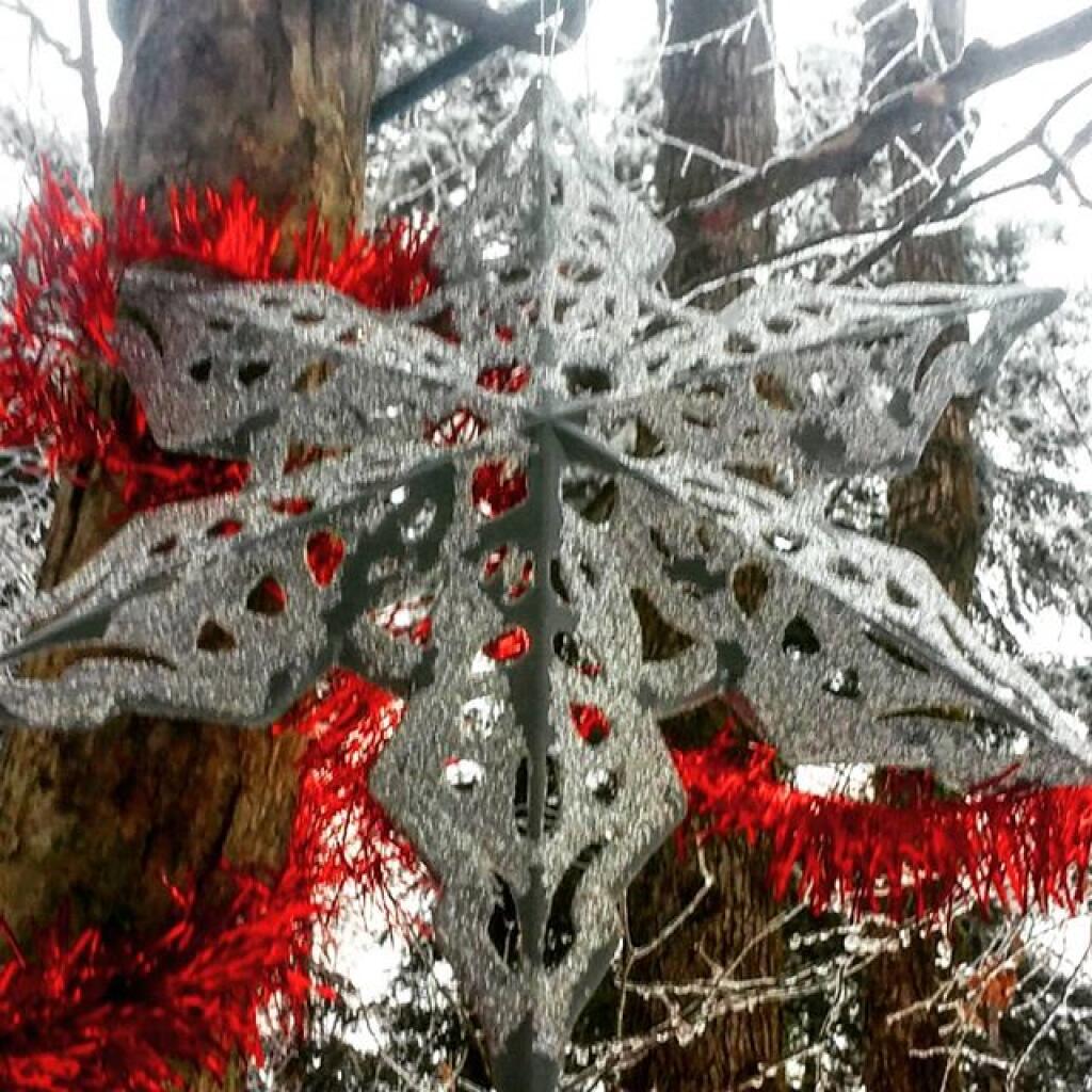 Photo: Snowflake Photo: Snowflake