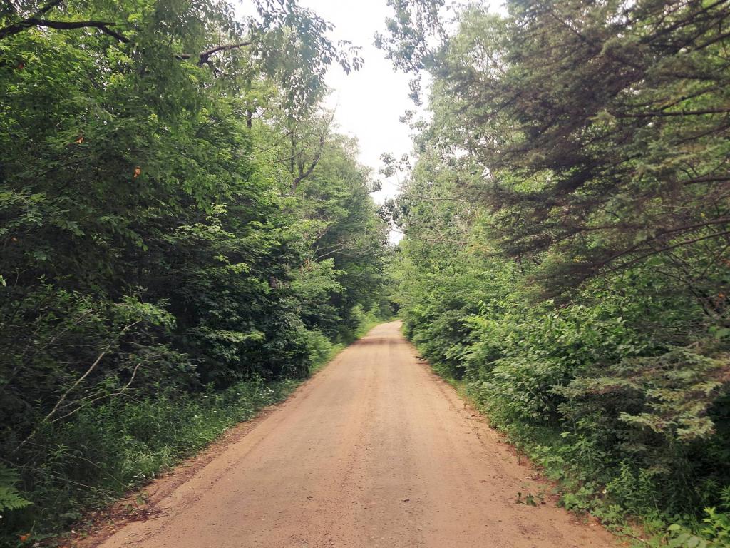 Photo: Love Walking Along the Old Sandy Otter Brook Road