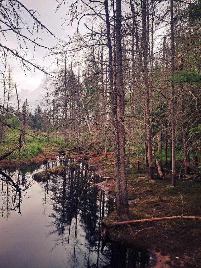Photo: Past Flood