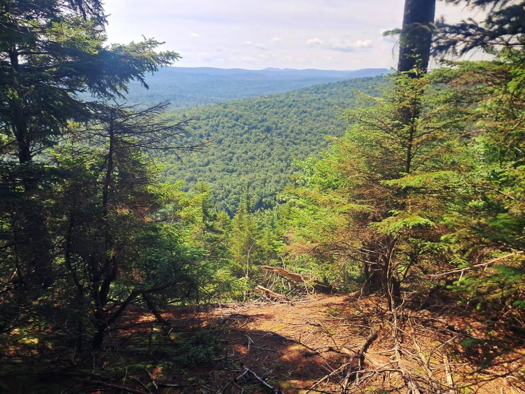 Photo: Mitchell Pond Mountain Ledge Photo: Mitchell Pond Mountain Ledge