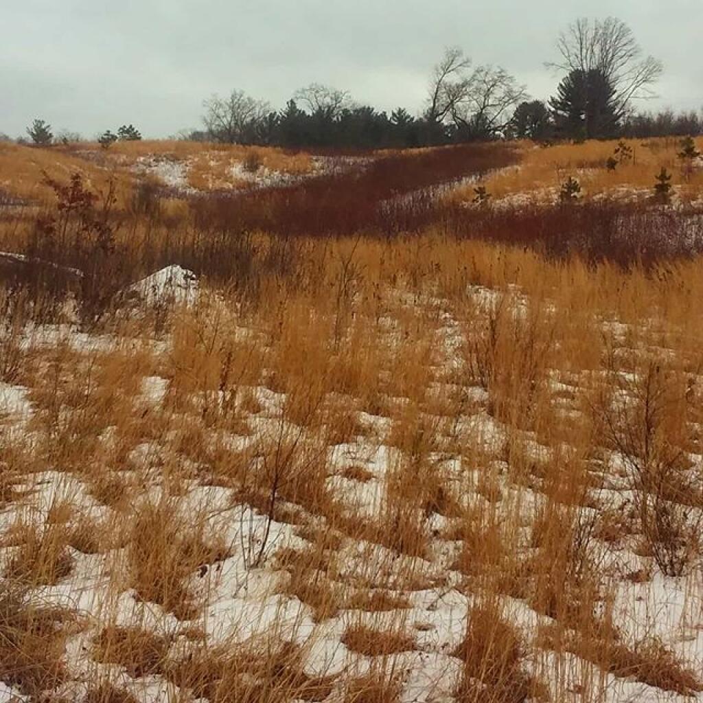 Photo: Winters colors Photo: Winters colors