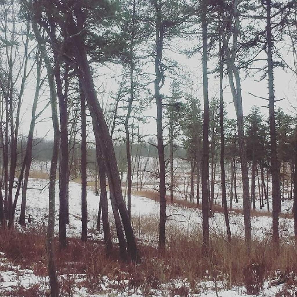 Photo: View off Horseshoe Dune