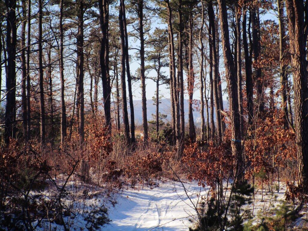 Photo: Towards The Mountains Photo: Towards The Mountains