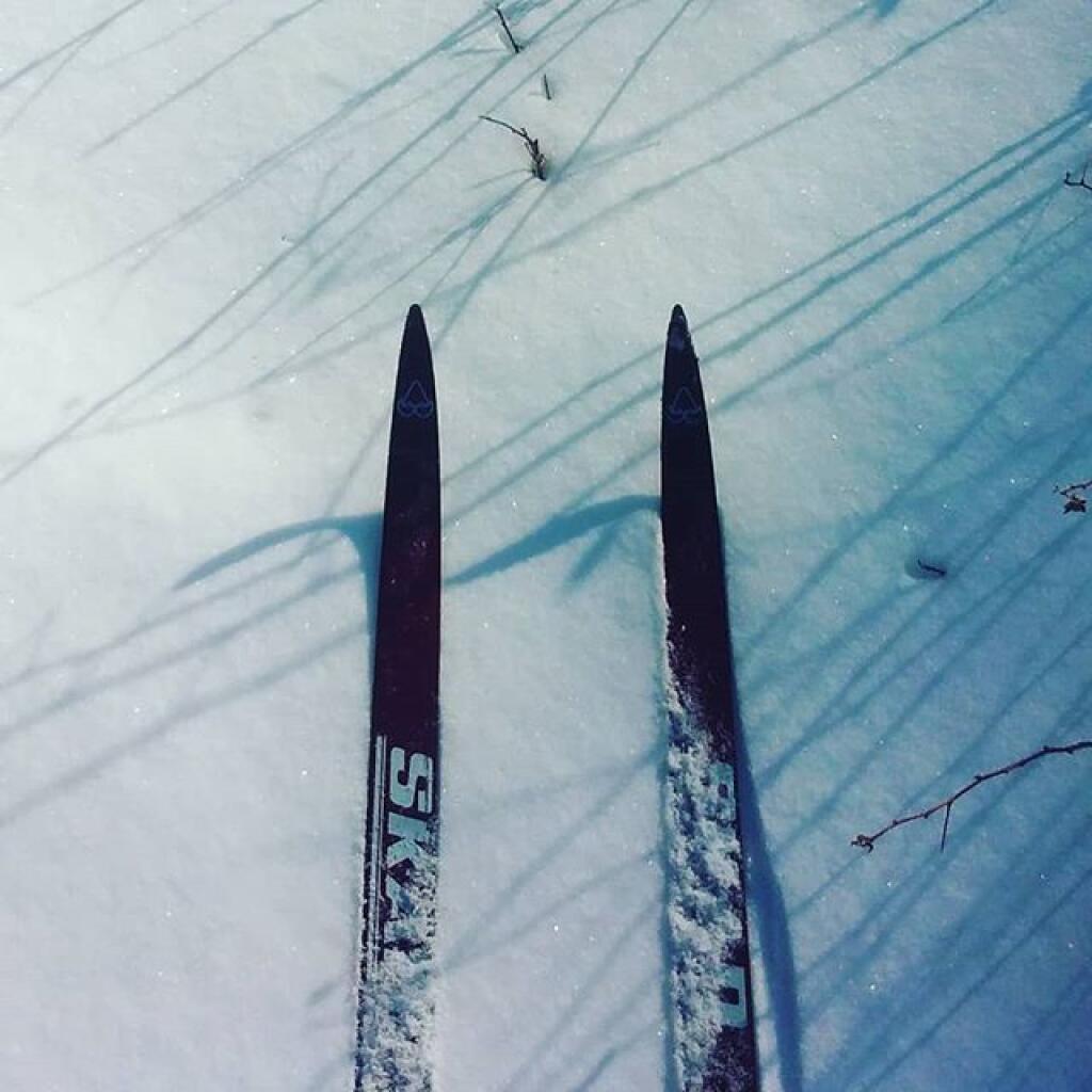 Photo: Ski Photo: Ski