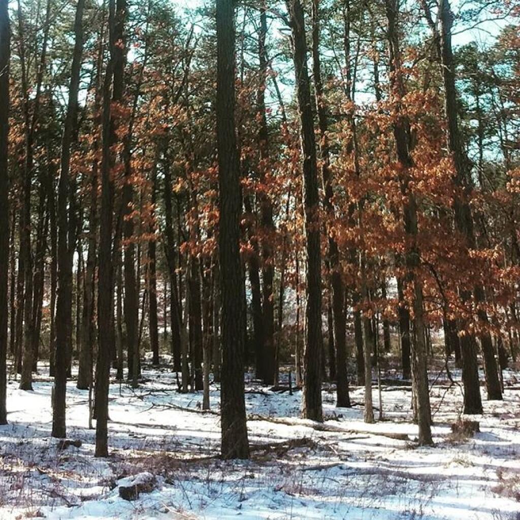 Photo: Winter Photo: Winter