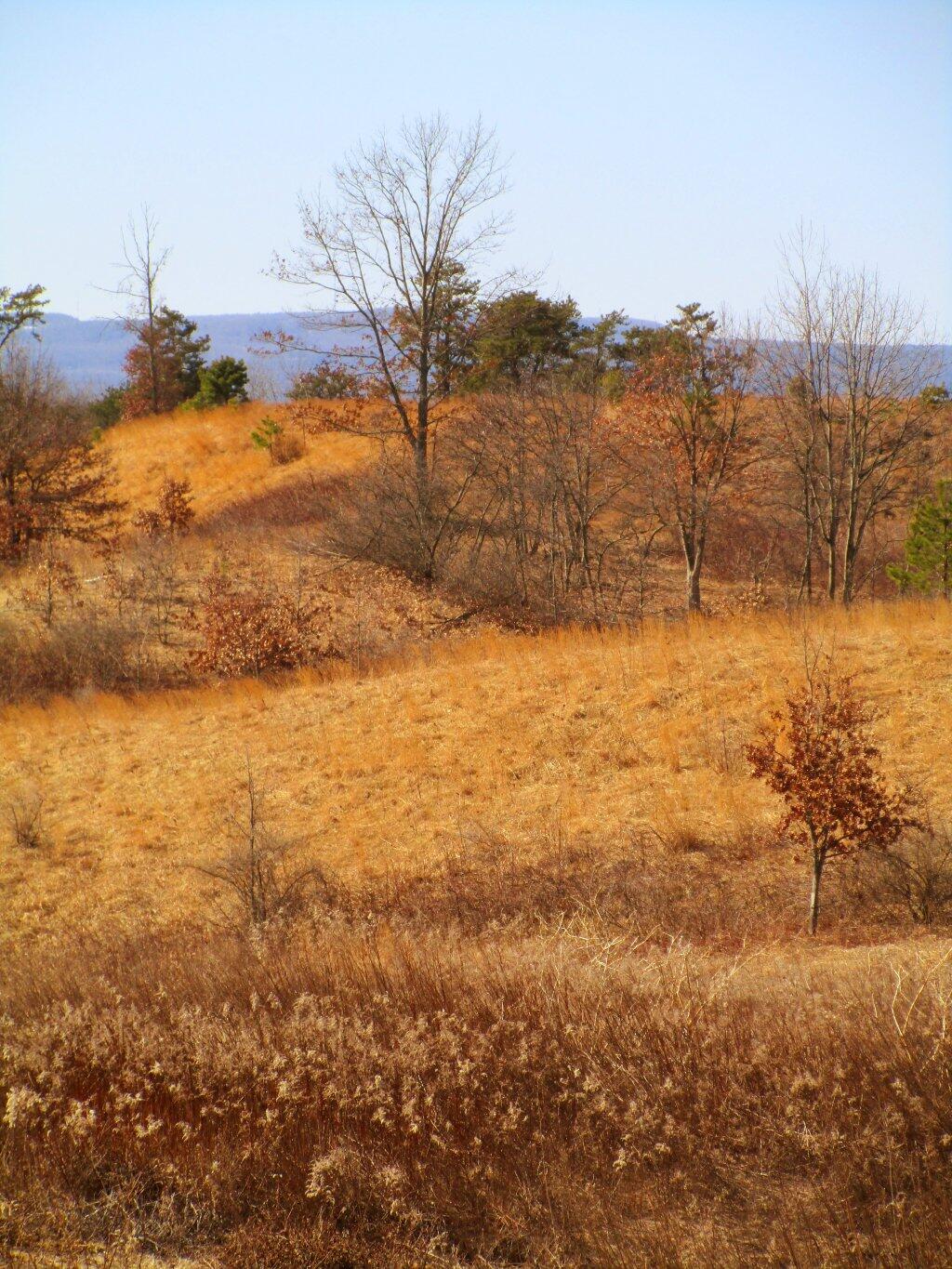 Photo: Dunes Photo: Dunes