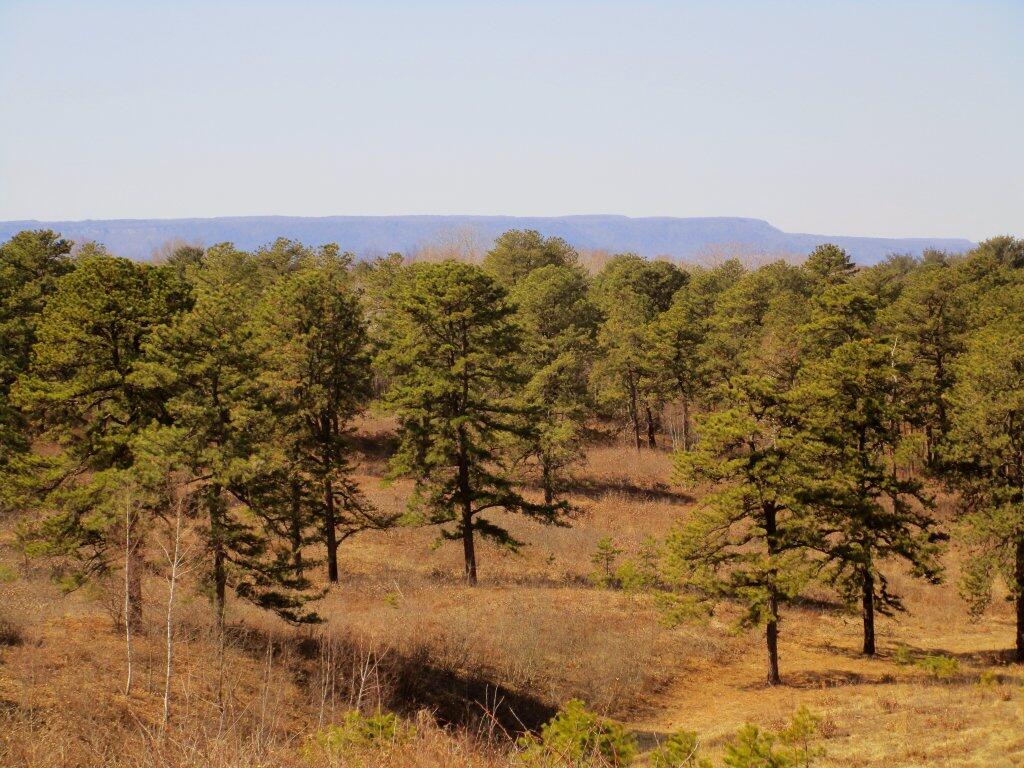 Photo: Ecarpment In The Distance Photo: Ecarpment In The Distance