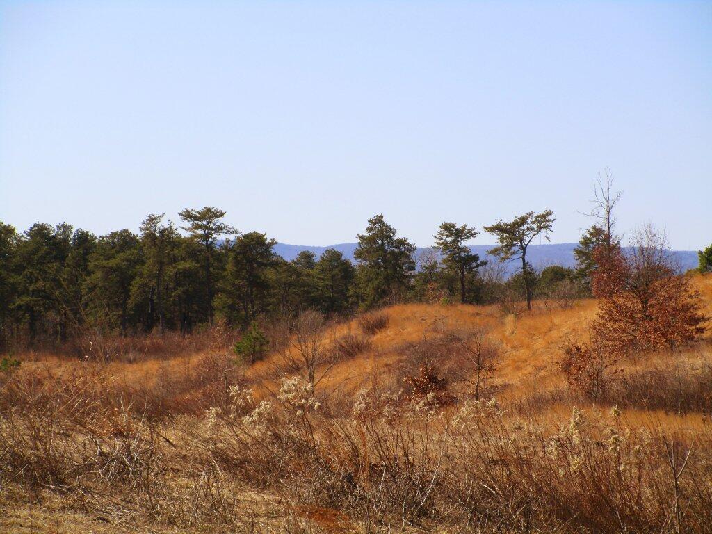 Photo: Midday At Blueberry Hill Photo: Midday At Blueberry Hill